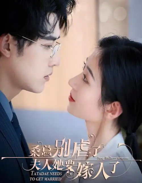 孤舟夜航 电视剧全集免费观看